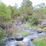 Arusha National Park