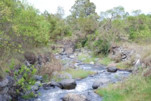 Arusha National Park