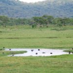 Arusha National Park