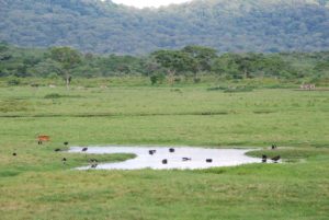 Arusha National Park