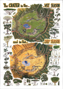 Cratere del Ngorongoro