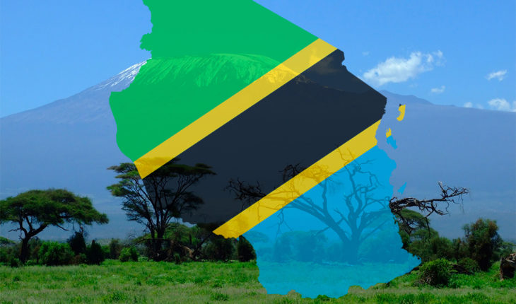 Tanzanian Flag