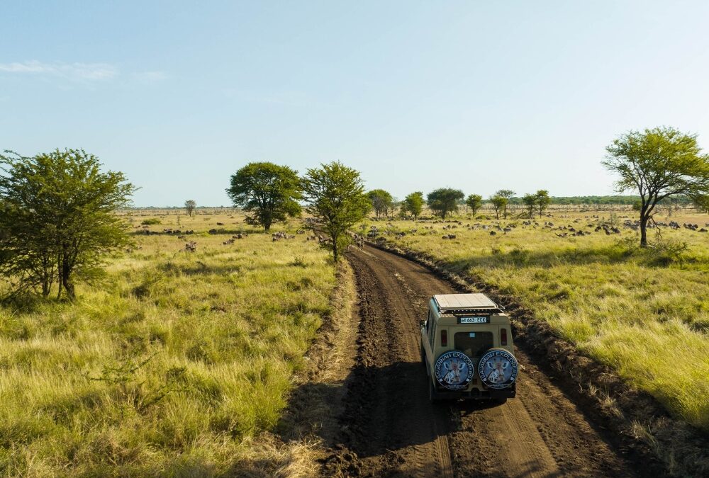 Tanzania Climate: rain and temperature month by month