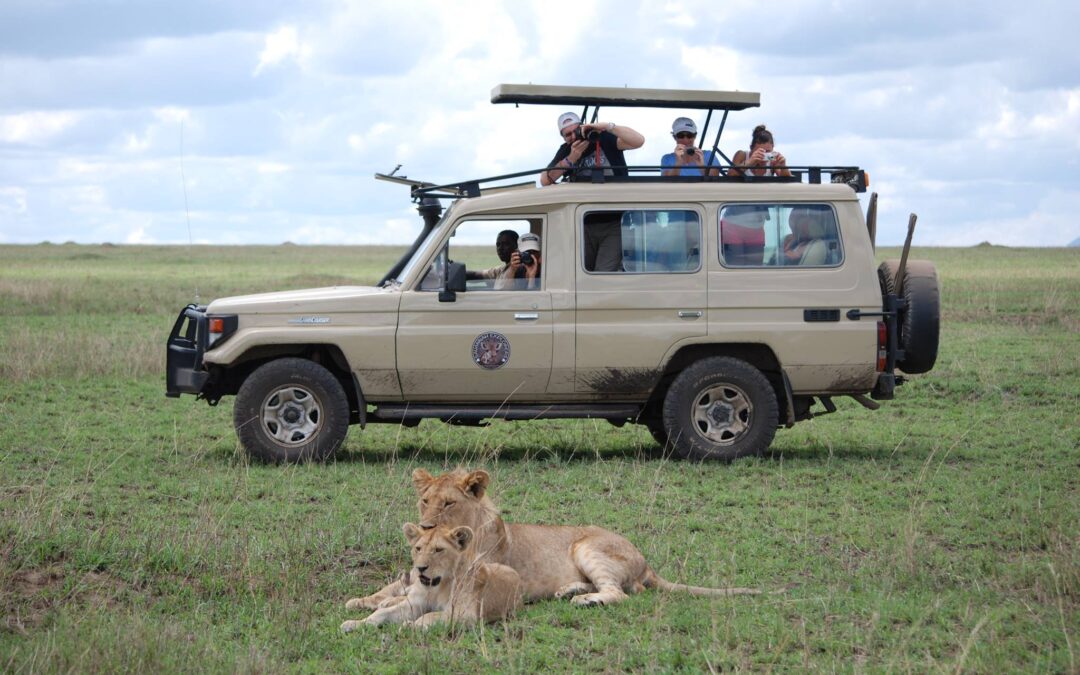 Safari Tanzania