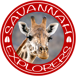 logo savannah explorers