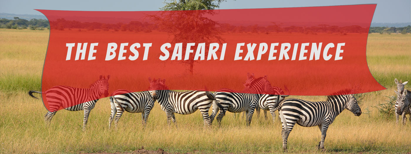 safari in tanzania